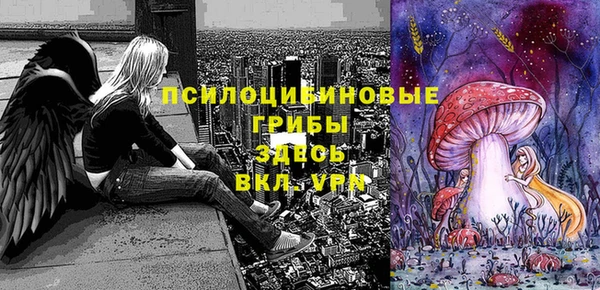 шишки Вязники